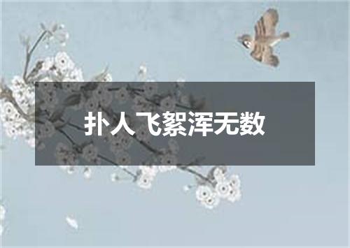 扑人飞絮浑无数