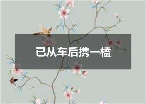 已从车后携一榼