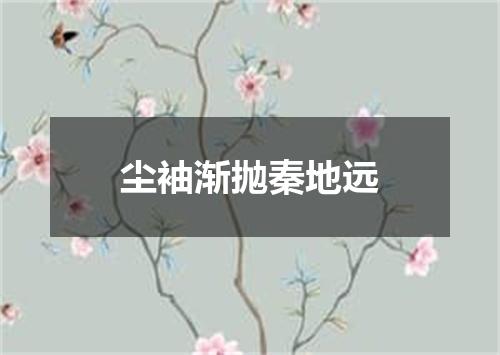 尘袖渐抛秦地远