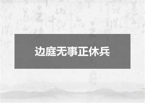 边庭无事正休兵