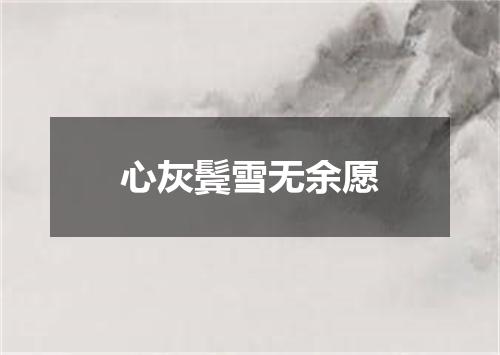 心灰鬓雪无余愿