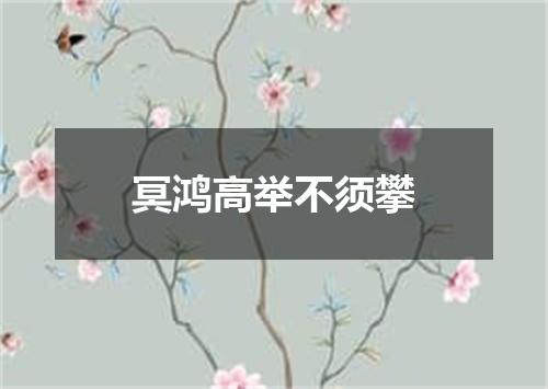 冥鸿高举不须攀