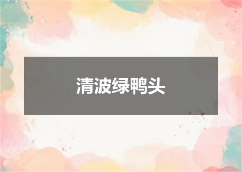 清波绿鸭头