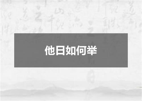 他日如何举