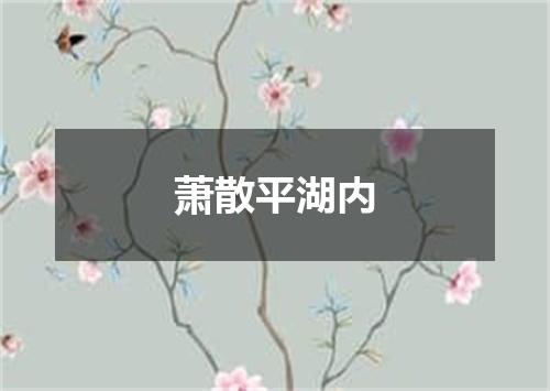 萧散平湖内