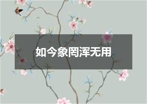 如今象罔浑无用