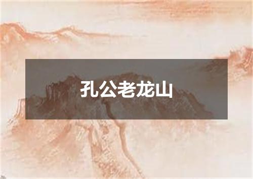 孔公老龙山