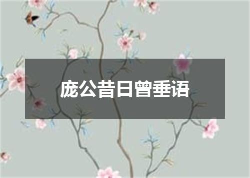 庞公昔日曾垂语