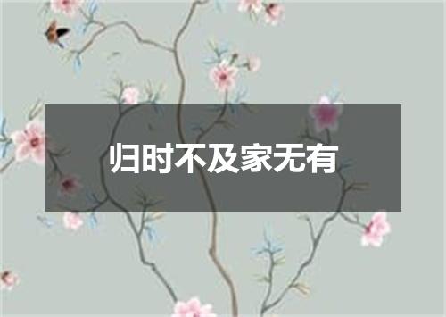 归时不及家无有