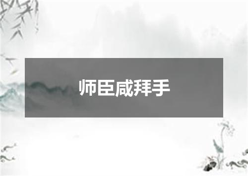 师臣咸拜手