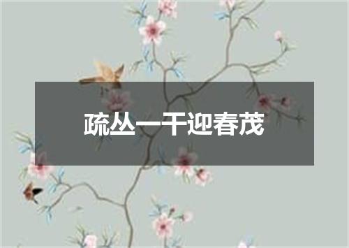 疏丛一干迎春茂