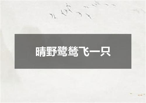 晴野鹭鸶飞一只