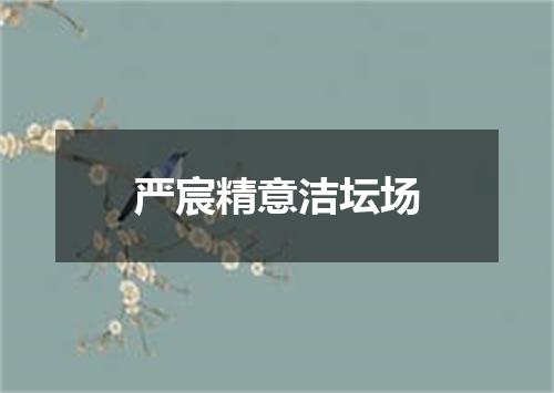 严宸精意洁坛场