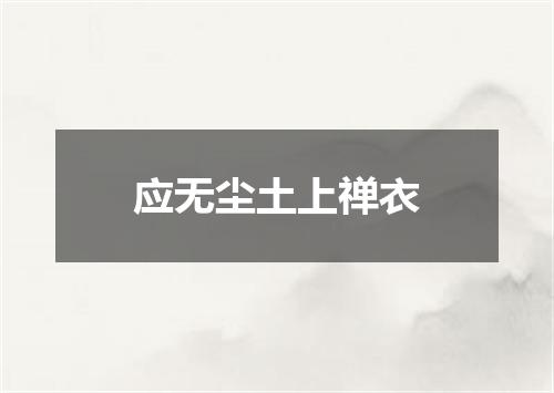 应无尘土上禅衣