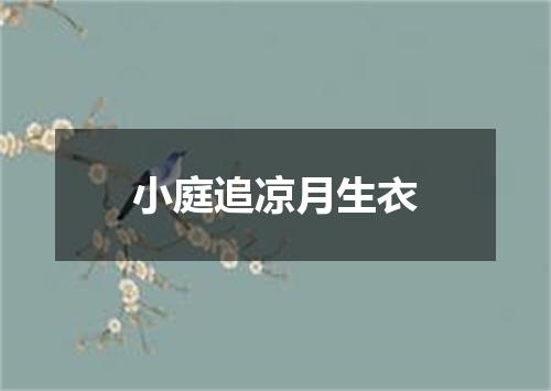 小庭追凉月生衣