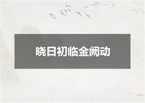 晓日初临金阙动