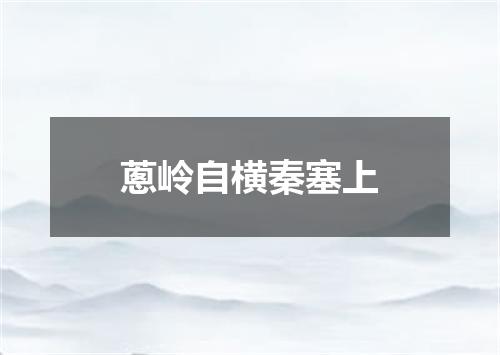 蔥岭自横秦塞上