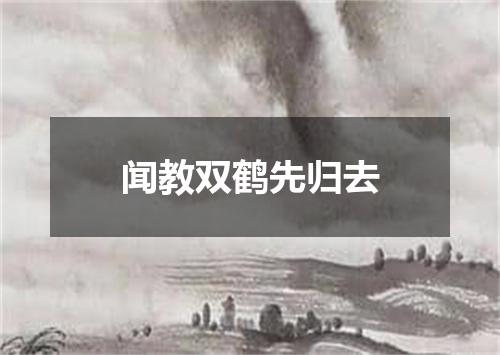 闻教双鹤先归去