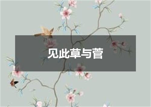 见此草与菅