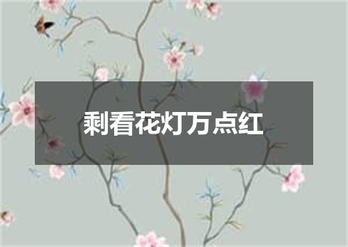 剩看花灯万点红