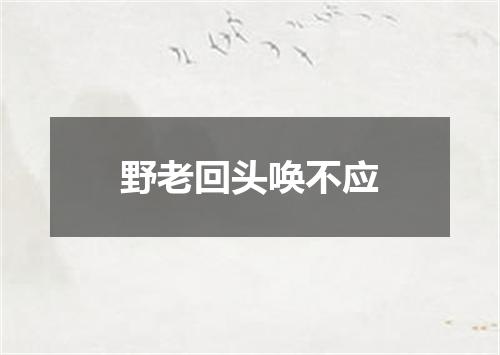 野老回头唤不应