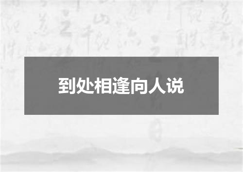 到处相逢向人说