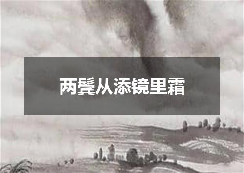 两鬓从添镜里霜