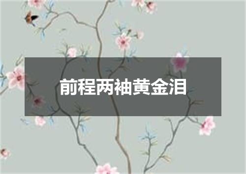 前程两袖黄金泪