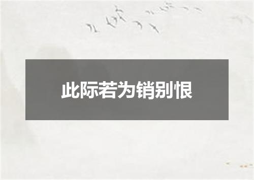 此际若为销别恨