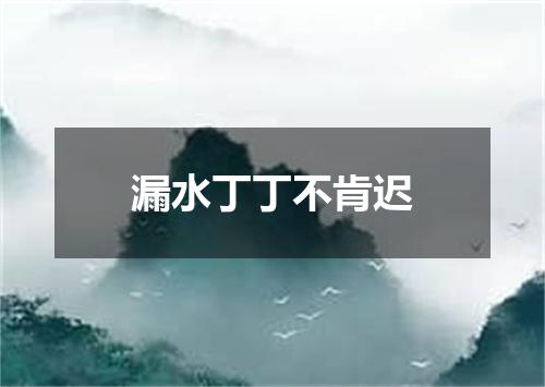 漏水丁丁不肯迟