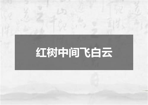 红树中间飞白云