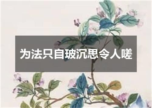 为法只自玻沉思令人嗟