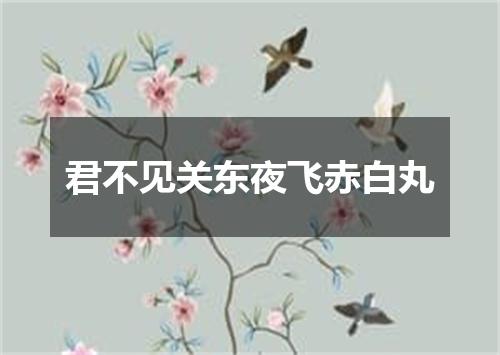 君不见关东夜飞赤白丸