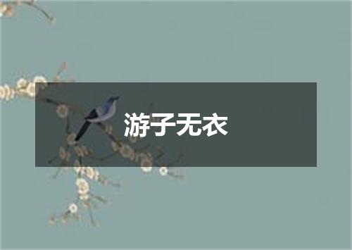 游子无衣