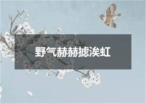 野气赫赫摅涘虹