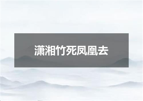 潇湘竹死凤凰去