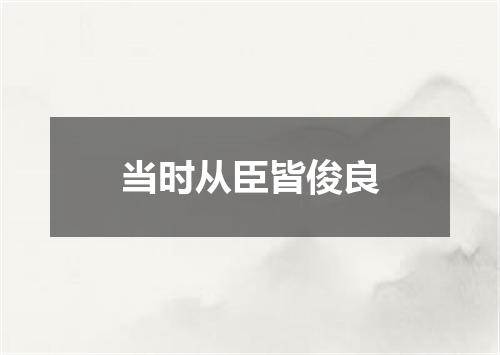 当时从臣皆俊良