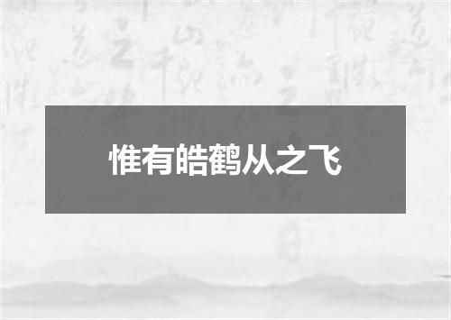 惟有皓鹤从之飞