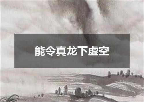 能令真龙下虚空