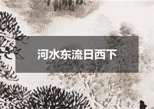 河水东流日西下