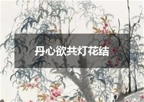 丹心欲共灯花结