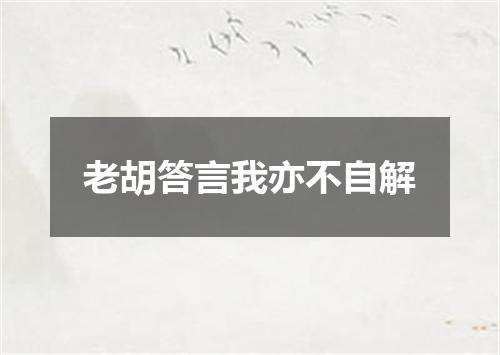 老胡答言我亦不自解