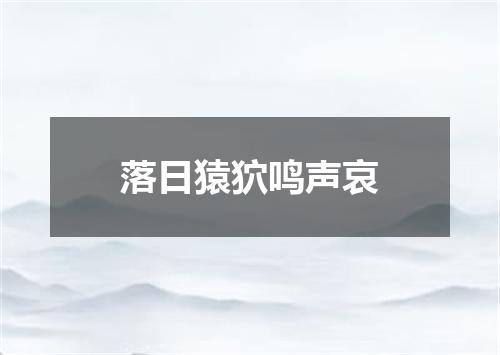 落日猿狖鸣声哀