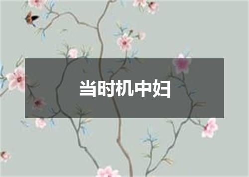 当时机中妇