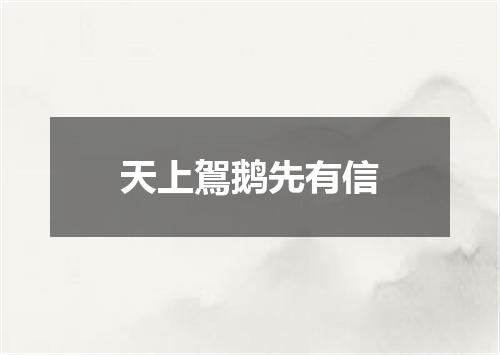 天上鴐鹅先有信