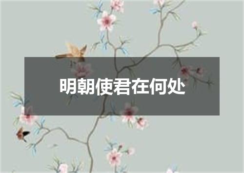 明朝使君在何处