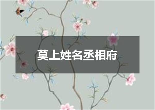 莫上姓名丞相府