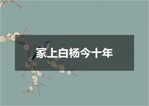 冢上白杨今十年