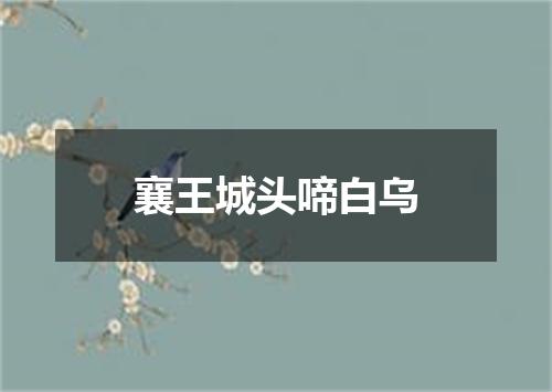 襄王城头啼白乌