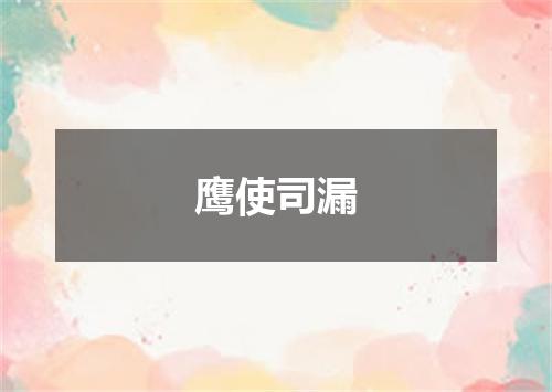 鹰使司漏